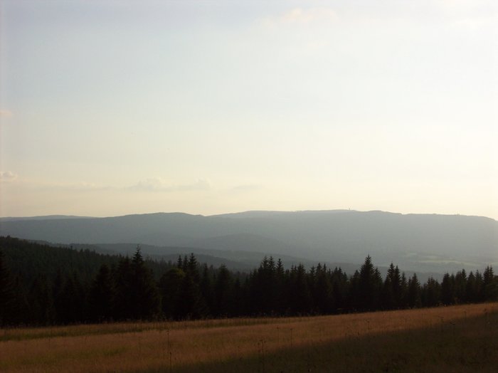 15 dovča sl.šumava 09.jpg